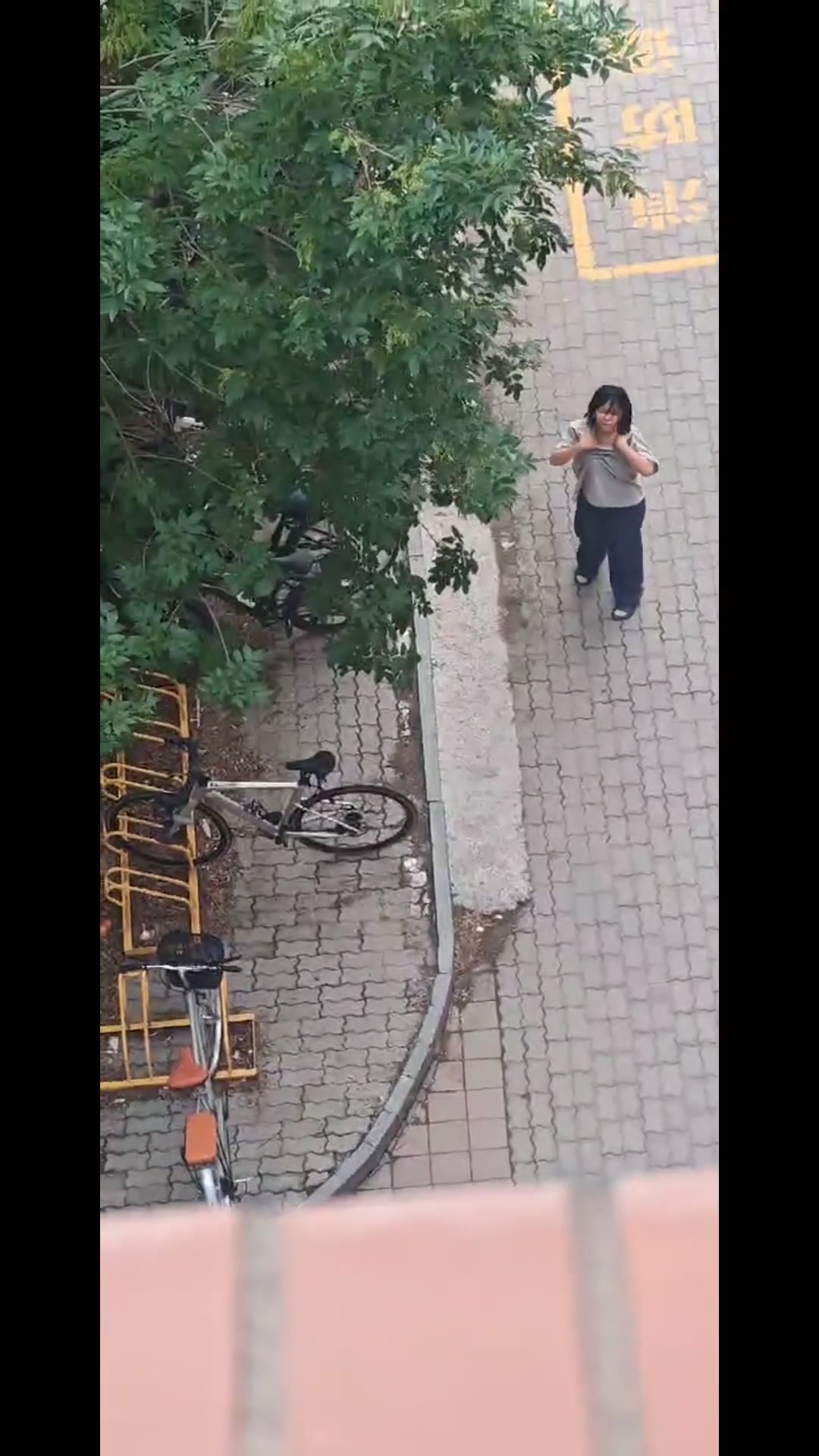 浙传学生怀孕闹剧 男生拒负责引发宿舍楼下脱衣风波