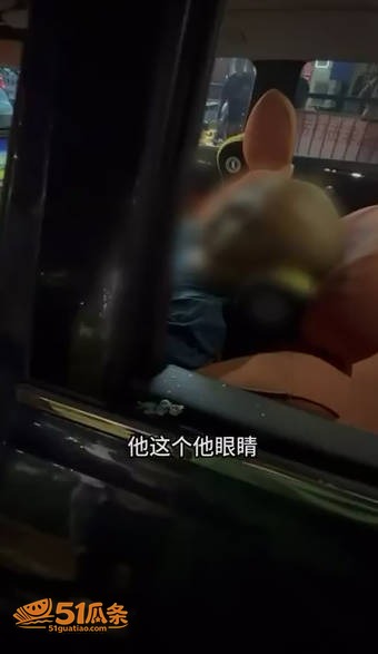 相关图片3
